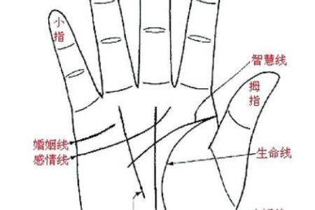 女人面相手相看什么命，揭示生命秘密的窗口