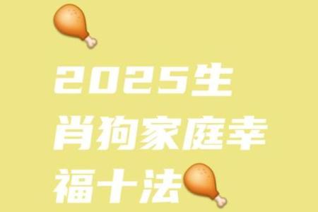 属狗的大海水命适合的字与生活智慧分享