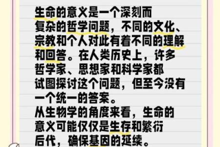 是什么让你相信生命的意义：探索内心与生活的连结