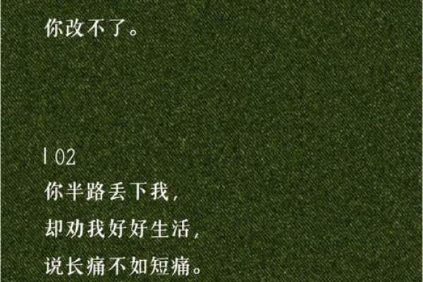 穷人的命如草芥:生命的脆弱与社会的无情 穷人的命如草芥:生命的脆弱与社会的无情