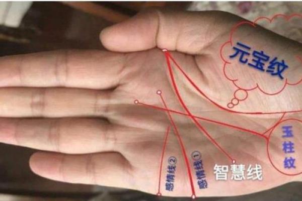 揭示女命手相中元宝纹的深刻含义与命运洞察