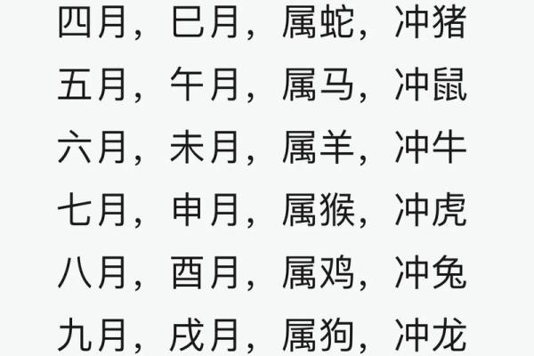 属鼠农历十月十二出生的人命理分析与人生指导