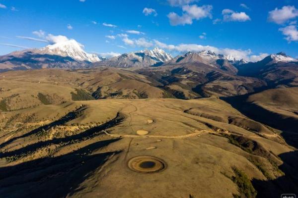 山林之虎女命：探寻自然与坚韧共存的命理之美