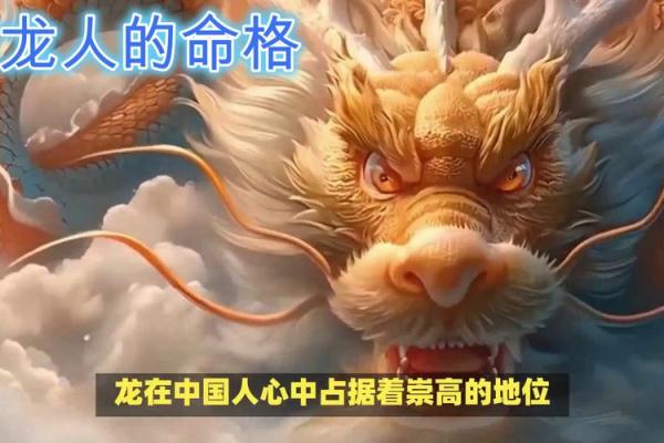 属龙正月出生的人命格解析与生活指导 属龙正月出生的人命格解析与生活指导