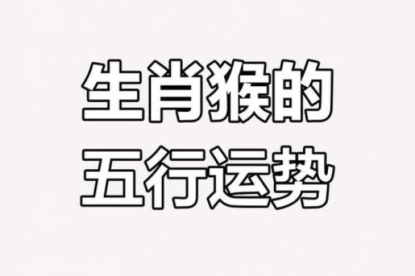 属猴的人命理分析:五行(金木水火土)与性格命运的关系 属猴的人命理分析:五行(金木水火土)与性格命运的关系
