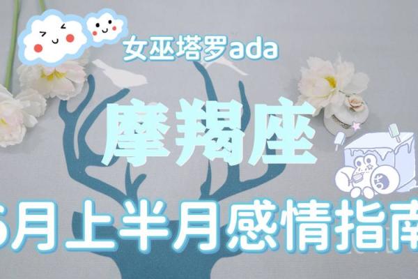 摩羯座的命运 努力与责任交织的人生旅程 摩羯座的命运 努力与责任交织的人生旅程