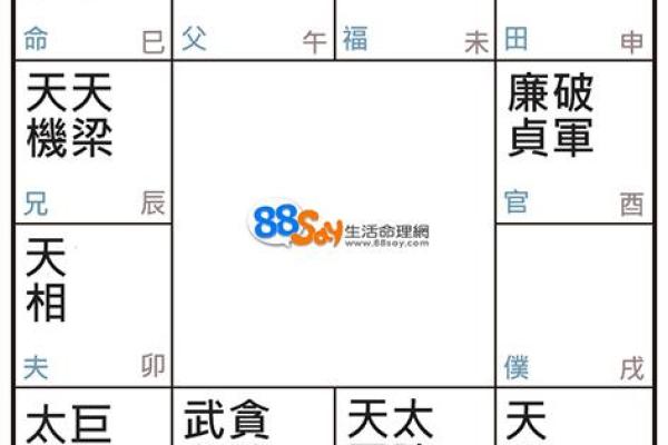 三月出生的人命格分析:独特与魅力交织的生活轨迹 三月出生的人命格分析:独特与魅力交织的生活轨迹