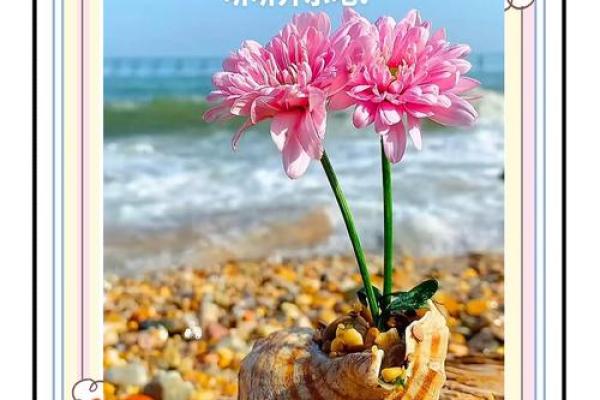 如何看自己命运的奥秘，从内心深处探索人生的轨迹