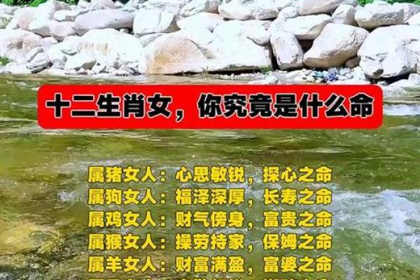 属什么命交什么命的朋友，命运相随的深厚情谊