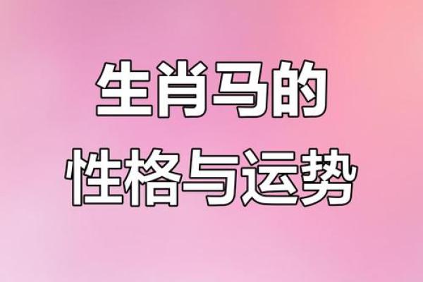 属马人的命运解析：你是什么命，如何应对人生挑战？