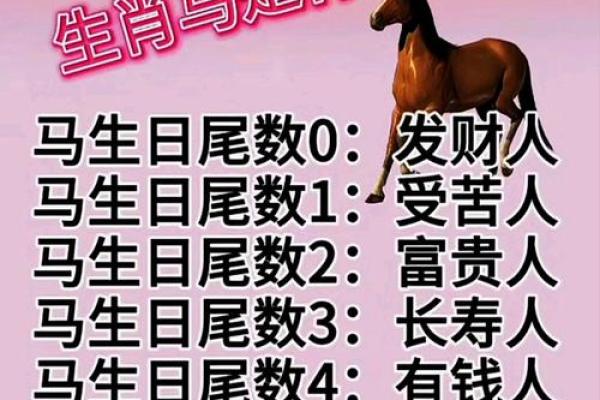 属马人的命运解析：你是什么命，如何应对人生挑战？