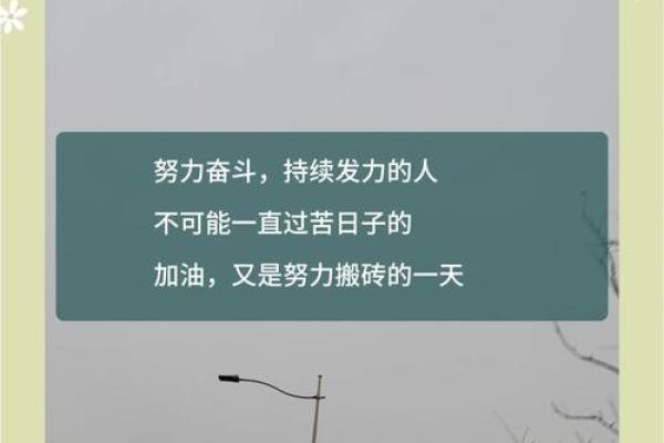拼来的才是命，生活中的坚持与努力之路