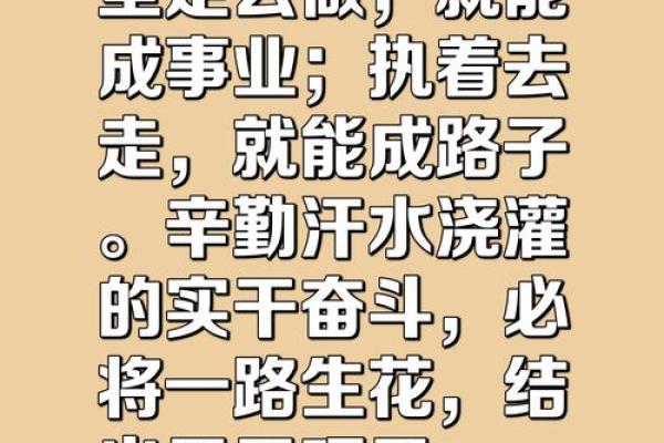 拼来的才是命，生活中的坚持与努力之路