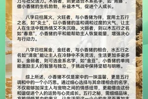 沙中土命人名字中的五行元素与命运的缘分