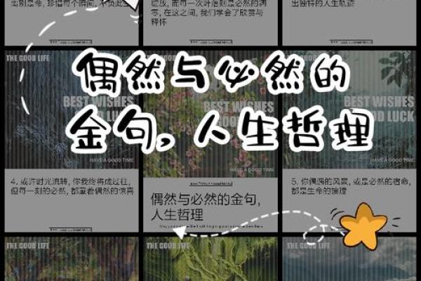 揭密杂气正印格女命的独特人生与内心世界