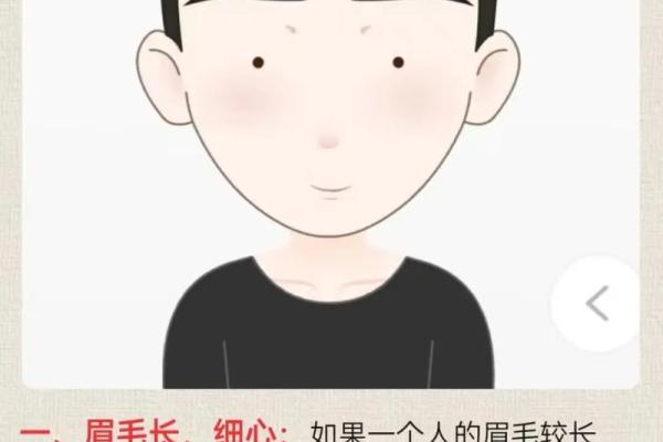 男人有眉毛，命运如何？眉毛与运势的秘密探究