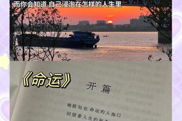 解密木命人的命运：如何让命运之树茁壮成长？