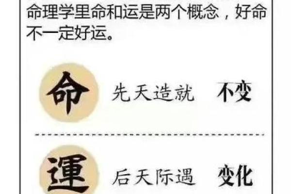壬子癸丑甲寅命格解析：揭示命运的奥秘与人生的选择