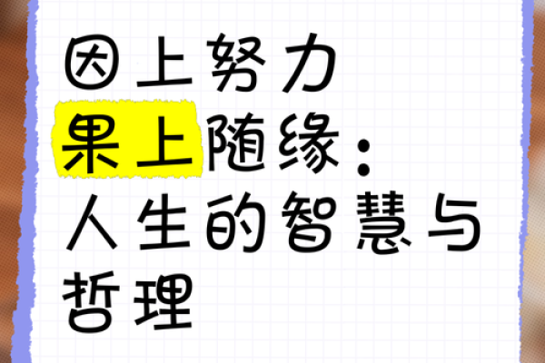 三两五钱的命:掌握人生的智慧与哲理 三两五钱的命:掌握人生的智慧与哲理
