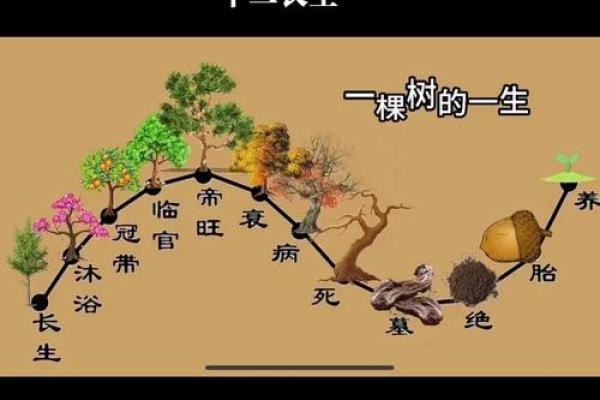 揭开男命日座枭印的神秘面纱：解析命理中的独特象征