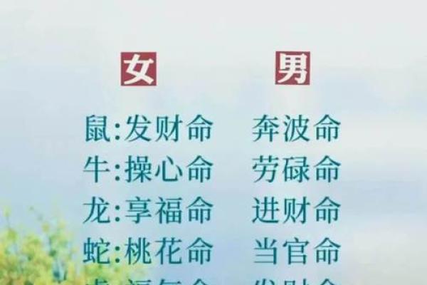 揭秘十二生肖：它们各自命理与命运的秘密