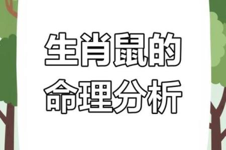 属鼠女1984年命理解析：智慧与机遇并存的人生之旅
