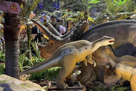 山林之虎女命：探寻自然与坚韧共存的命理之美