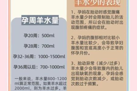 属羊水命的幸运色—探索色彩与命理之缘