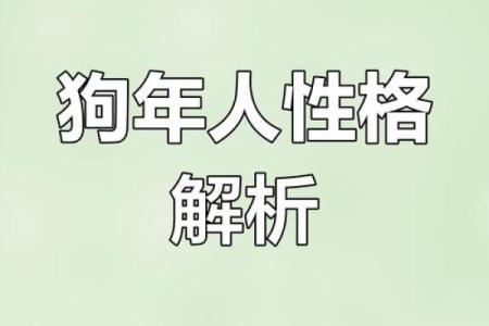 属狗人6月出生，命运解析与人生智慧