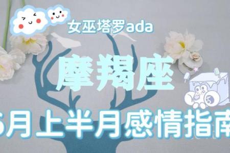 摩羯座的命运 努力与责任交织的人生旅程