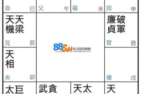 三月出生的人命格分析：独特与魅力交织的生活轨迹