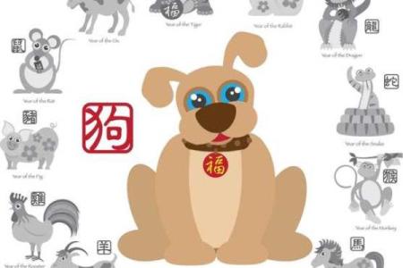 属什么命交什么命的朋友，命运相随的深厚情谊