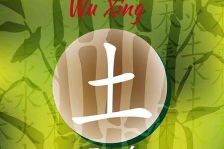 农历五月二十五出生的命运解析，揭示其独特的性格与人生之路