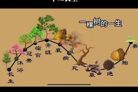 揭开男命日座枭印的神秘面纱：解析命理中的独特象征