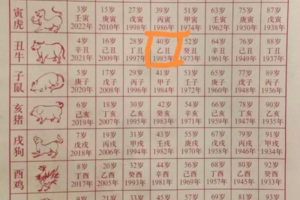 壬寅年癸卯月的命格分析与生活启示 壬寅年癸卯月的命格分析与生活启示