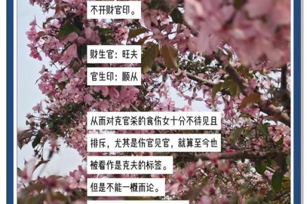 揭示女命旺夫的奥秘:如何解读命格之美与智慧 揭示女命旺夫的奥秘:如何解读命格之美与智慧