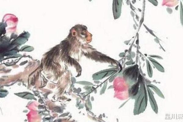 属猴与属马的人生哲学:智慧与勇敢的结合之道 属猴与属马的人生哲学:智慧与勇敢的结合之道