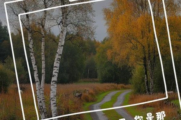 生是什么命,心中有数,人生如歌,快乐随行 生是什么命,心中有数,人生如歌,快乐随行