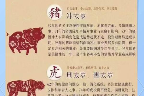 生肖猪的命理与最佳配对分析,探寻幸福美满的秘密! 生肖猪的命理与最佳配对分析,探寻幸福美满的秘密!