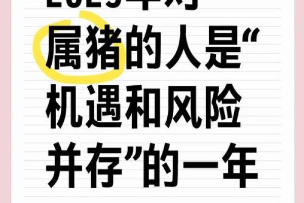 属猪大海水命，合适命格配置与生活运势探究