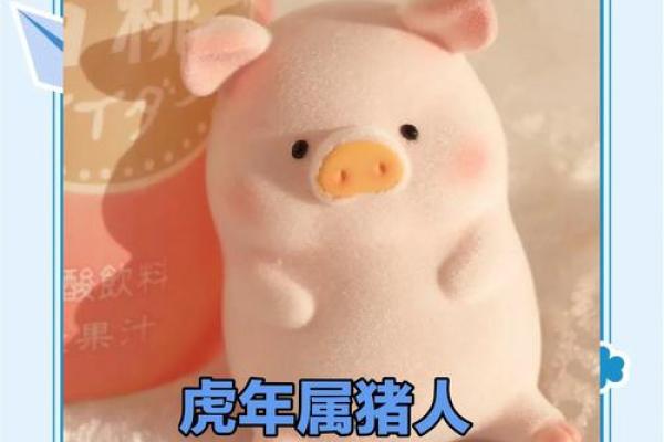 属猪大海水命，合适命格配置与生活运势探究