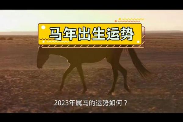 七八年属马的五行命理解析：解读你的命运轨迹与人生发展