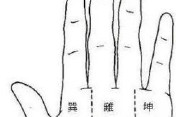 揭秘女人命格：如何辨别上等命的特征与运势