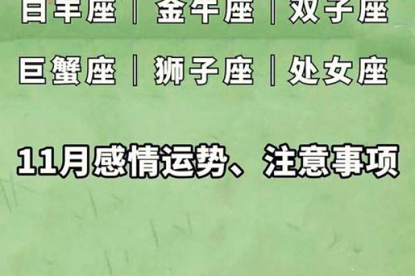 属虎的处女座：踏实实用的黄昏星星，迎接人生的挑战与机遇