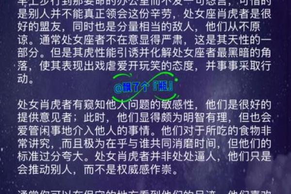 属虎的处女座：踏实实用的黄昏星星，迎接人生的挑战与机遇