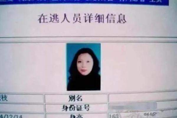 解密身份证后面数字：生活中9的命运与影响