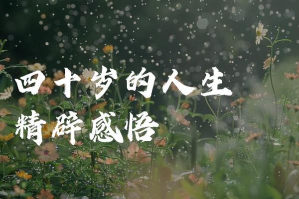 身宫杨柳木命的深意与人生之道