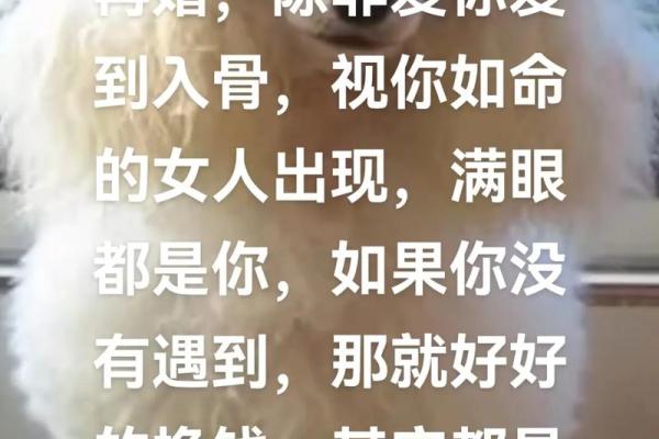 视你如命:爱情的真实面貌与深刻涵义 视你如命:爱情的真实面貌与深刻涵义