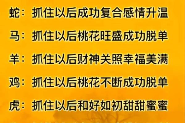 视你如命:爱情的真实面貌与深刻涵义 视你如命:爱情的真实面貌与深刻涵义