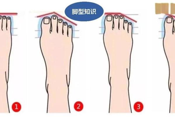 你是什么脚型决定你这一生的运势与命运?揭开脚型与命运之间的奥秘! 你是什么脚型决定你这一生的运势与命运?揭开脚型与命运之间的奥秘!